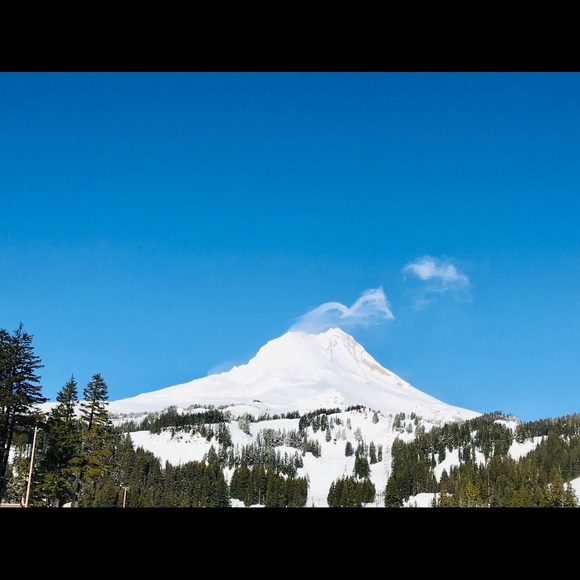 Meet your Posher, Kathy - Picture 2 of 4